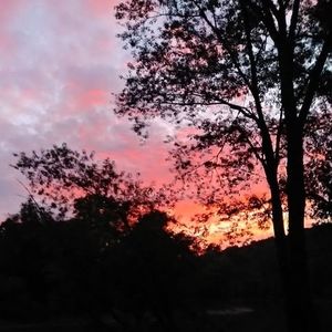 Meet your Posher, Nyoka